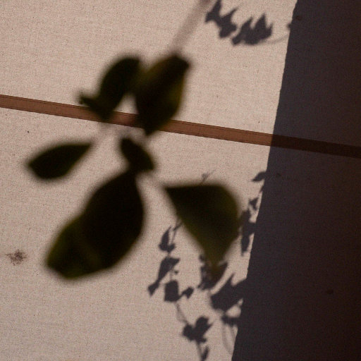 女优林思妤的回归
